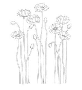 Pleasant Poppies Stamp Brush - Digital Download  133012