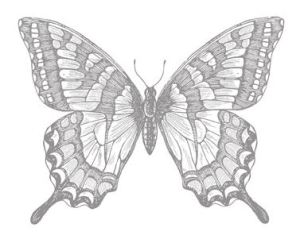 Swallowtail Stamp Brush - Digital Download  133011