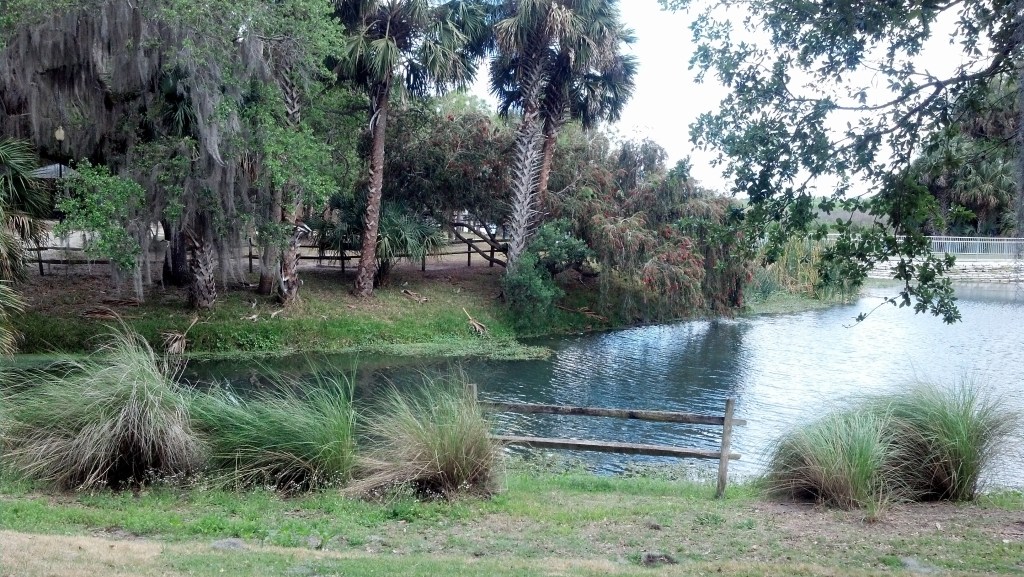 And now Gemini Springs Park, it was a beautiful day in a beautiful place!