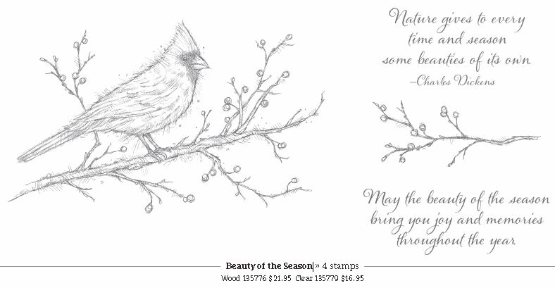 Beauty of the Season 1