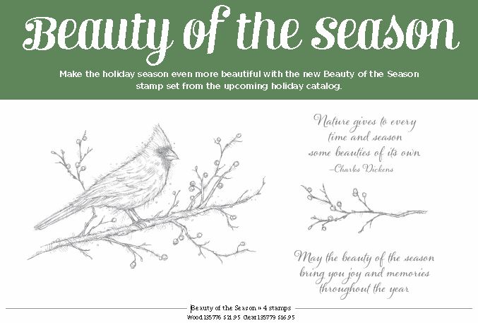 Beauty of the Season