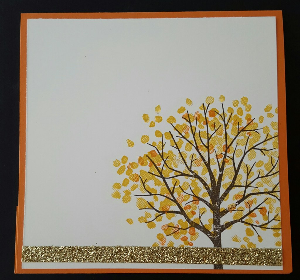 20150802_145915-1_resized