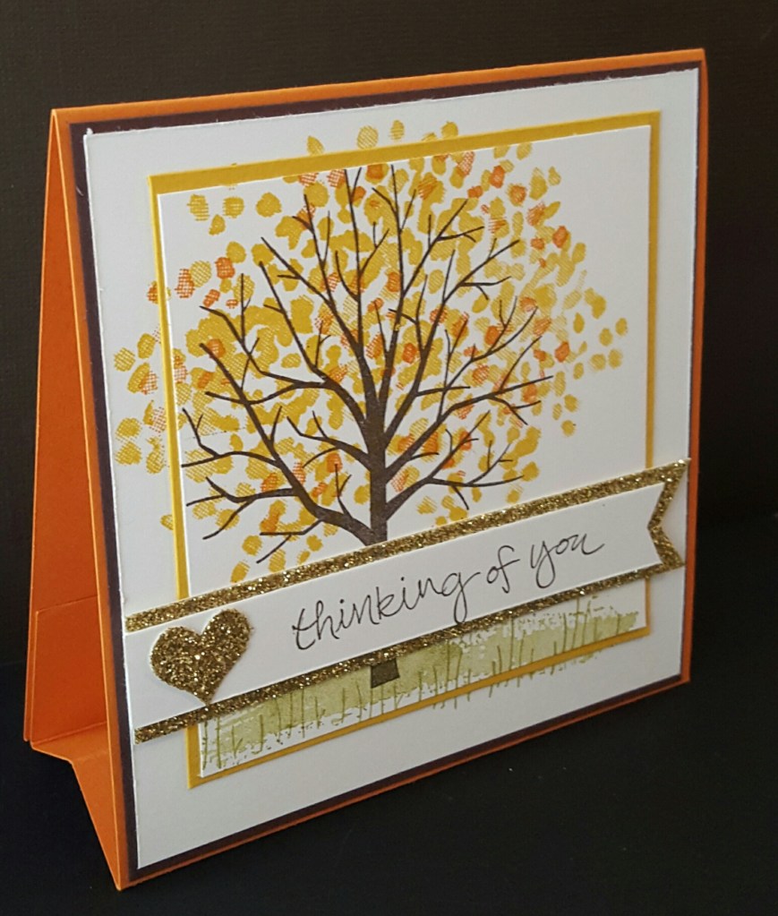 20150802_150003-1_resized