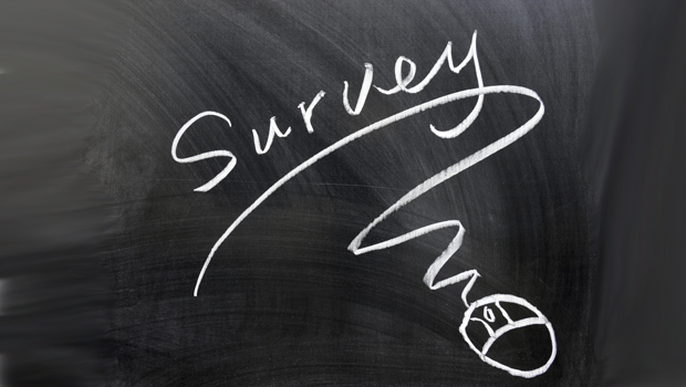 survey_photo620x350